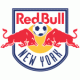 New York Red Bulls club